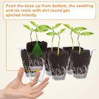 Gardzen 10 Pack Push-Up Seed Starting Tray, Pop Up Plant Germination Trays, Seed Starter Kit with Adjustable Humidity Vented Dome, 6.6" x 4.5", Total 120-Cell, Clear