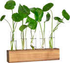 YIBOT Propagation Stations, Plant Terrarium with Wooden Stand, 5 Glass Test Tubes Vases, Birthday Gardening Gifts for Women Mom Plant Lovers, Home Office Desk Decor
