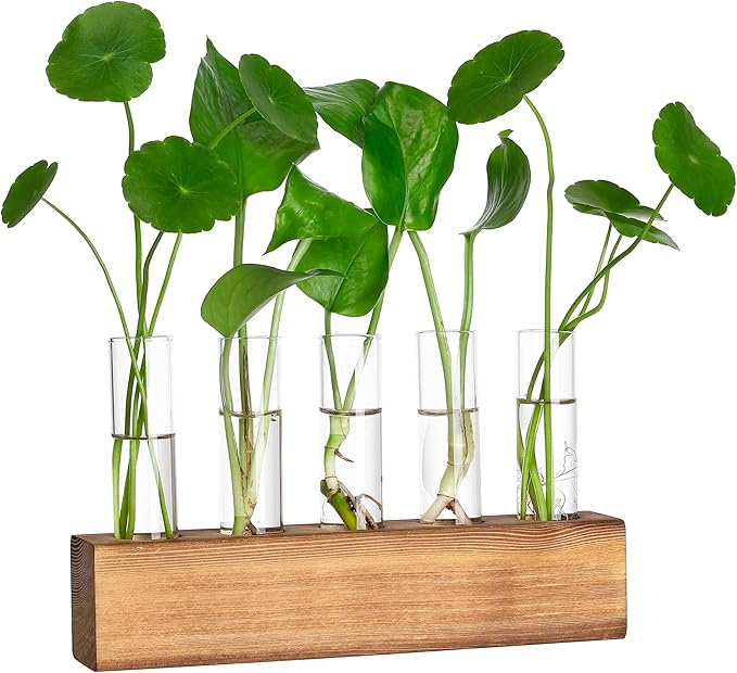 YIBOT Propagation Stations, Plant Terrarium with Wooden Stand, 5 Glass Test Tubes Vases, Birthday Gardening Gifts for Women Mom Plant Lovers, Home Office Desk Decor