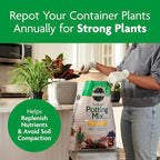 Miracle-Gro Indoor Potting Mix, Blended for a Variety of Houseplants, Feeds for up to 6 Months, 16 qt., 2-Pack