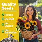 HOME GROWN Sunflower Seeds for Planting | 8 Varieties |1000+ Non-GMO Sun Flower Seeds Packets to Plant: Grow Dwarf Sunflowers, Mexican Sunflowers, Wild, Lemon Queen,Autumn Beauty,Sunspot, Velvet Queen