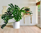 D'vine Dev 14 Inch White Plastic Planter Pots for Plant Pot with Drainage Hole and Seamless Saucers, 74-X-A-4