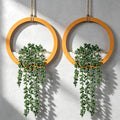 Boho Wall Decor, 2Pcs Fake Hanging Plants Artificial Succulents, Indoor Hanging Planter Greenery Decor, Perfect for Bathroom Living Room Bedroom Office Washroom, Faux Succulent Wall Floating Plants