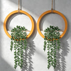 Boho Wall Decor, 2Pcs Fake Hanging Plants Artificial Succulents, Indoor Hanging Planter Greenery Decor, Perfect for Bathroom Living Room Bedroom Office Washroom, Faux Succulent Wall Floating Plants