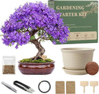 Bonsai Tree Starter Kit, Jacaranda Bonzai Kit, Indoor Bonsai Trees Plant Seeds with Drainage Design Pots, Gardening Gifts for Women, High-Value Plant Gifts
