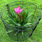 10 Pack Heavy-Duty Chicken Wire Plant Cloches, 14"x16" Chicken Wire Plant Protectors, Rustproof Metal Garden Cages to Shield Seedlings, Flowers & Vegetables from Animals