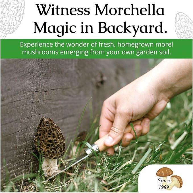 Garden Morel Mushroom Grow Kit - MOREL HABITAT KIT ® - Grow Morchella Mushrooms