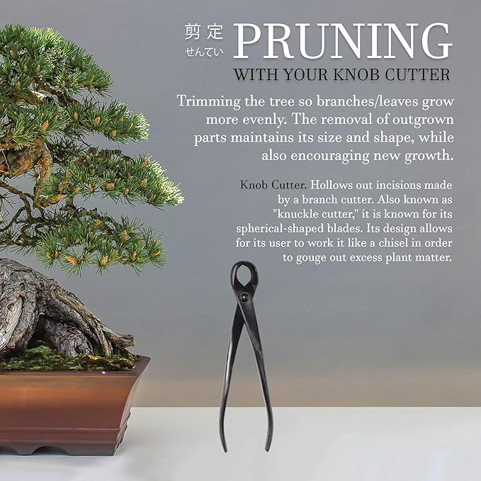 BambooMN Bonsai Tool Kit - 8" Concave Cutter & 8" Knob Cutter - 3 Sets