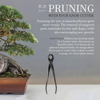 BambooMN Bonsai Tool Kit - 8" Concave Cutter & 8" Knob Cutter - 3 Sets