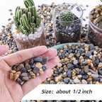 CJGQ 18lb 1/4/'' Polished Pebbles for Plants Potting,Succulents Aquarium Fish Tank Vases-Decorative River Rocks Garden Gravel Stones