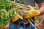 Corona BP 3180D Forged Classic Bypass Pruner with 1" Cutting Capacity, 1", Red
