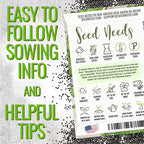 Seed Needs Catnip Seeds for Planting Nepeta cataria - Non-GMO Heirloom & Untreated Herb Seed to Plant & Grow an Outdoor Home Grown Garden (2 Packs)
