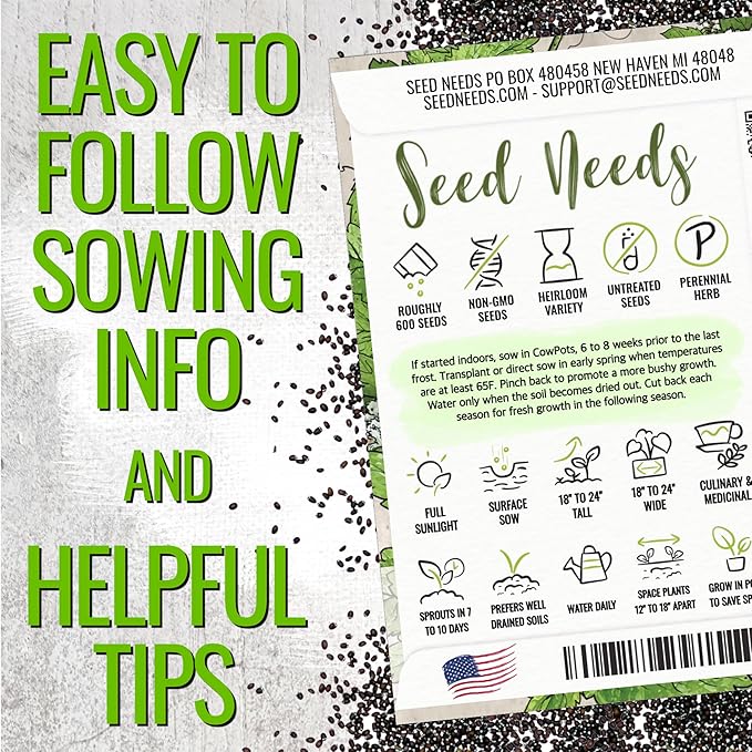 Seed Needs Catnip Seeds for Planting Nepeta cataria - Non-GMO Heirloom & Untreated Herb Seed to Plant & Grow an Outdoor Home Grown Garden (2 Packs)