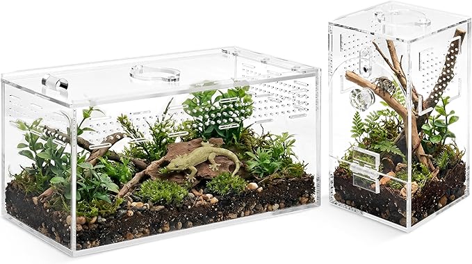 Jumping Spider Enclosure Set, Terrestrial Arboreal Combo, Acrylic Tarantula Terrarium, Praying Mantis Habitat, No Assembly, 2-Size Kit, Medium