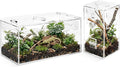 Jumping Spider Enclosure Set, Terrestrial Arboreal Combo, Acrylic Tarantula Terrarium, Praying Mantis Habitat, No Assembly, 2-Size Kit, Medium