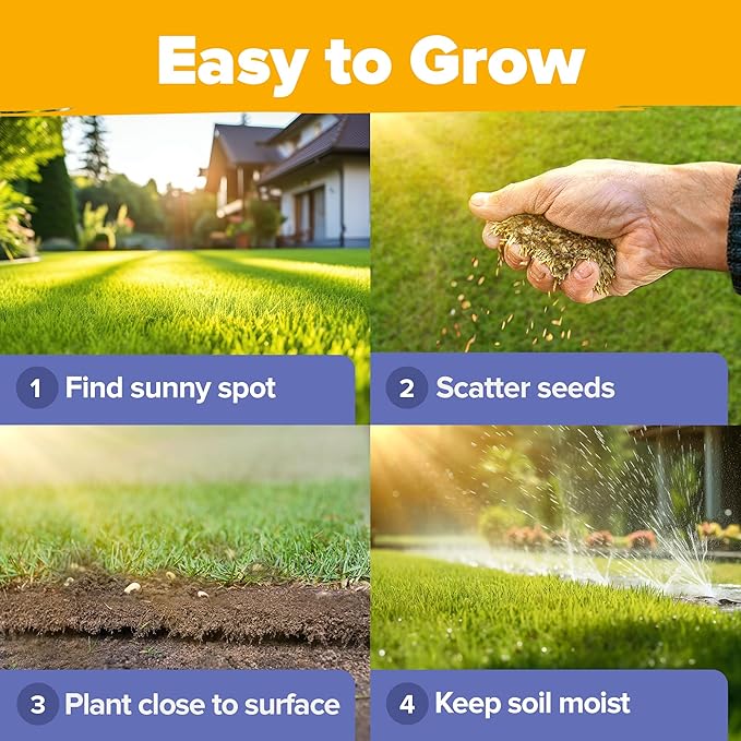 HOME GROWN Wildflower Seeds - 44,000 Non GMO USA Perennial Seeds (2oz) 19 Varieties for Butterfly & Pollinator Garden - Wild Flower Seed Mix for Full Sun & Shade