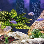 Moonorange Reptile Artificial Plants, Terrarium Plants Decorations Supplies, Aquarium Fish Tank Plant, Amphibian Habitat Hideout Tank Accessories(L Set-3pcs/B)