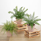 3 Pack Artificial Fern Plant, Small Fake Plants in Pot, Faux Fern Plant for Home Office Farmhouse Living Room Bathroom Kitchen Tabletop Desk Shelf Decoration