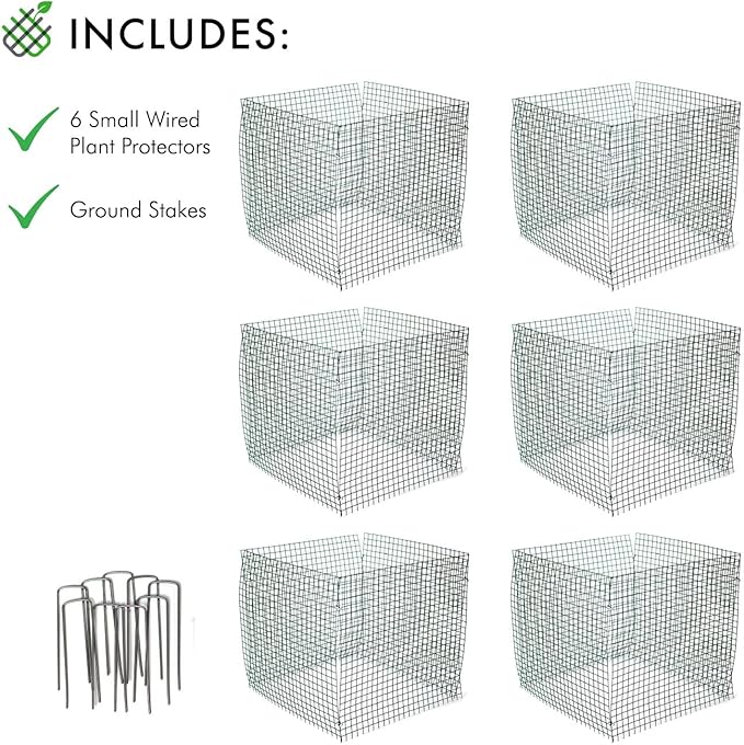 6 New Small Wire Plant Protectors, 12" Square, 12" high (Vinyl Coated Rust Resistant Wire)