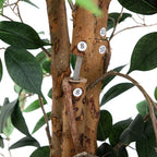 Nearly Natural 9ft. Artificial Ficus Tree