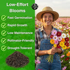 3045+ Crazy Blend Cosmos Seeds, Pack for 2026 Non-GMO Flower Seeds – 10+ Varieties of Cosmos – Bulk Cosmos Flowering Seed Mix