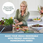 Indoor Herb Garden Starter Kit - Heirloom, Non-GMO Herb Seeds - Basil Thyme Parsley Cilantro Seed, Potting Soil, Pots, Scissors - DIY Grow Kits for Growing Herbs Indoors, Kitchen, Balcony, Window Sill