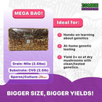 All‑in‑One Mushroom Grow Bag Kit – Sterilized Grain & CVG Substrate with Self‑Healing Injection Port – Beginner‑Friendly Mushroom Growing Kit to Grow Mushrooms at Home, 5 lb Mega Bag (1 Bag)