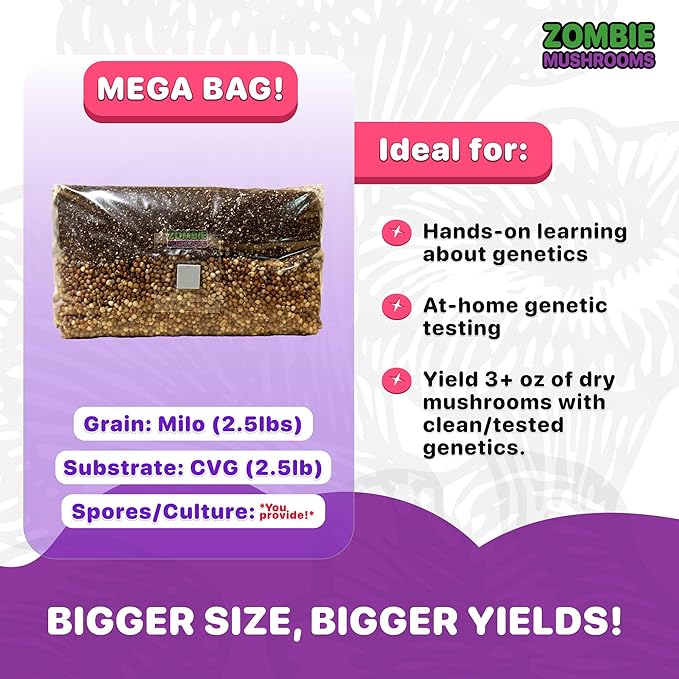 All‑in‑One Mushroom Grow Bag Kit – Sterilized Grain & CVG Substrate with Self‑Healing Injection Port – Beginner‑Friendly Mushroom Growing Kit to Grow Mushrooms at Home, 5 lb Mega Bag (1 Bag)