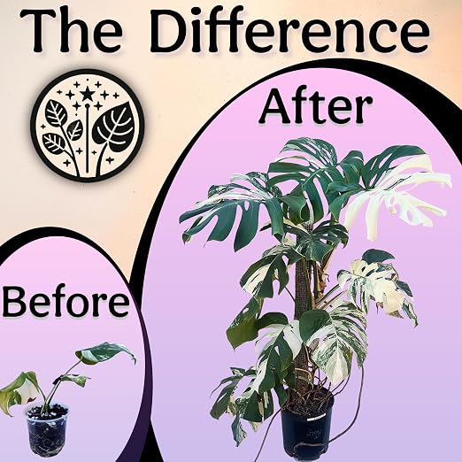 Organic Liquid Indoor Plant Food, Houseplant, Tropical & All-Purpose Indoor Plant Fertilizer, Organic Liquid Fertilizer 5-5-5 with Sea Kelp (32oz)