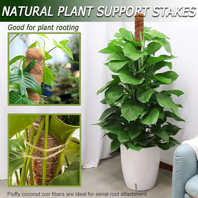 2 Pack 48'' Bendable Moss Pole for Monstera & Pothos - Tall Handmade Coco Coir Plant Support Stakes for Large Climbing Indoor Plants, Potted Houseplant Trellis Accessories