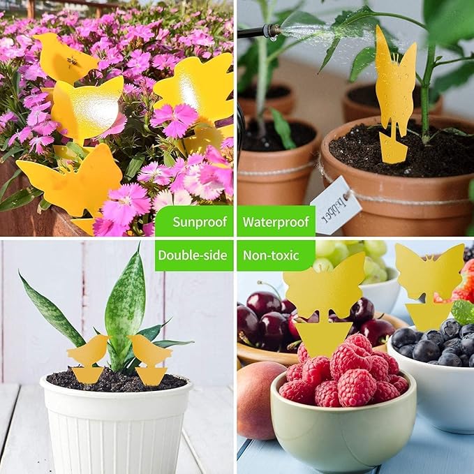 LFSYS 100 Pcs Yellow Sticky Traps for Gnat, Fruit Fly, White Fly, Aphid, Leaf Miner, Indoor Safe for Plants