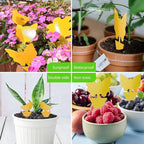 LFSYS 64 Pcs Sticky Traps for gnat, Yellow Sticky Fruit Fly Traps for Indoors Plants, Indoor Safe for Gnat, Fruit Fly, White Fly, Aphid, Leaf Miner