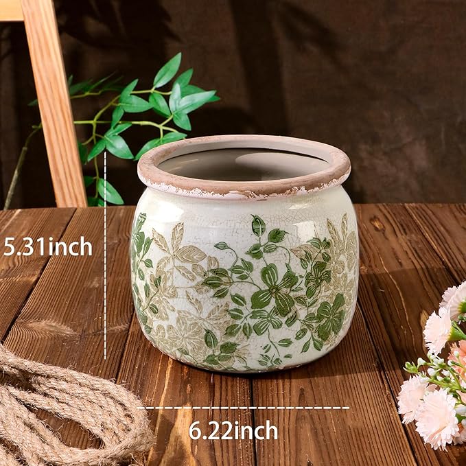 Dosayes Flower Pot,Vintage Ceramic Pot for Planter with Drainage Holes, 6.29 inch Ice Crack Glazed Small Planters Pot for Indoor,Tucan Home Decor,Gardening Gifts (Classic)