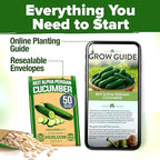 HOME GROWN Persian Cucumber Seeds 50+ Heirloom Non-GMO, Beit Alpha Variety, High Germination, Sweet Thin Skin, Burpless Snacking Cucumbers, Fast Growing, Indoor Outdoor Garden Crop (Cucumis sativus)