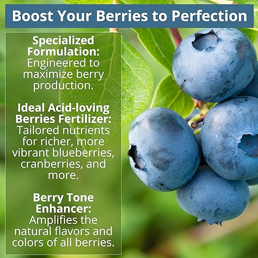 GARDENWISE 8-4-8 Acidic Fertilizer for Azaleas, Camellias (Camelia), Hydrangeas, Blueberries, Gardenias, Magnolia Trees, Evergreens, and Rhododendrons - Ideal Iron-Rich Plant Food (1 Quart)