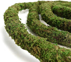 USMOLA Moss Vine for Reptiles, Bendable Climbing Vines Reptile Tank Accessories, Natural Moss Rope for Leopard Gecko, Lizard, Snake, Chameleon, Frog Terrarium Decor (Jungle Green, 6.5 FT)