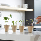 Back to the Roots Kids Science Grow Kit - 2 pk Bean and Watermelon