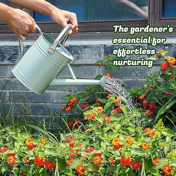 1 Gallon Watering Can for Plants, Watering Cans for Indoor&Outdoor Gardening, Galvanized Steel Watering Pot with Removable Spout, Metal Water Can with Ergonomic Movable Handle(Cream Green)