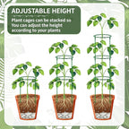 12 Pack Plant Support Stakes Sets - Versatile Plant Cages, Stackable Garden Flower Support， Small Plant Stakes for Indoor Plants,Tomato,Monstera, Peony, Hydrangea, Climbing Plants