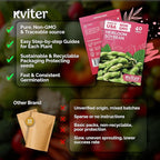 KVITER 40 Soy Bean Midori Giant Edamame Seeds (Glycine max) - Green Soybean, Soy Beans Organic Non GMO Variety, Sweet Nutty Flavor - Heirloom Vegetable Seeds for Planting Outdoors in Home Garden