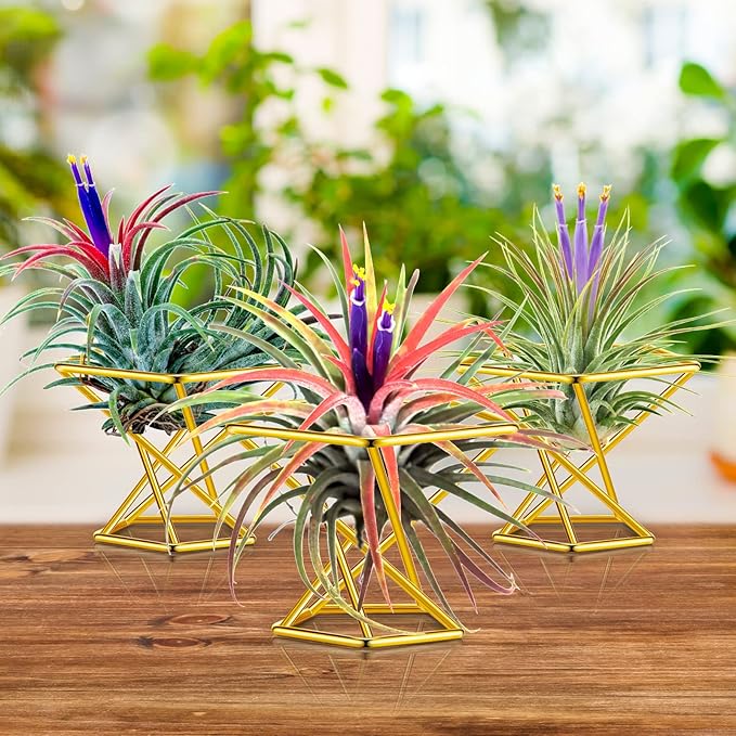Funrous 12 Pcs Air Plant Holders Geometric Gold Airplants Rack Metal Geometric Decor Classic Modern Air Fern Plant Stands Mini Golden Planters Tillandsia Pot Containers for Office Home Wedding