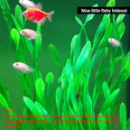 25.98 Inch Tall Aquarium Plants – 2 Pcs Fish Tank Plants Plastic，Large Lifelike Artificial Fish Tank Decorations, Durable & Safe for Freshwater/Saltwater Aquariums (Green (Style B))