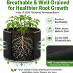 Delxo Garden Grow Bags 1 Gallon 10 Pack Plant Growing Bags Small Fabric Pots for Planting, Vegetable