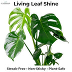 GardenWise Leaf Shine Spray for Indoor Plants – Plant Leaf Cleaner & Shine for Real House Plants – Fragrance-Free, Non-Sticky, Streak-Free Finish, 16 fl oz