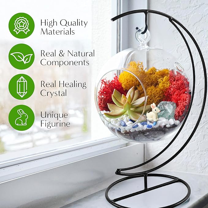 Creations by Nathalie DIY 5" DIY Globe Terrarium Kit - Build Your Own Glass Terrarium for Adults & Teens with Moss, Crystals, Tools & Decorative Figurine - Mini Ecosystem (Plant Not Included)