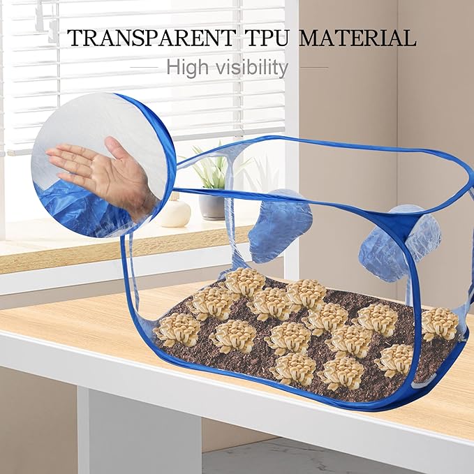 Portable Still Air Box Mycology with Pop Up Mushroom Growing Kit - Ideal for Mushroom Cultivation in Office and Mycology Enthusiasts (Blue)
