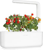 Click and Grow Smart Garden Mini Tomato Plant Pods, 3-Pack