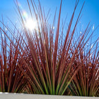 32 Bundles Red Artificial Plants Onion Grass Outdoor 20 Inch Fake Shrubs Wheat Grass UV Resistant Autumn Greenery Stems Faux Bushes Plant for Indoor Home Farmhouse Summer Decor