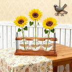 Plant Terrarium with Wooden Stand, The Ultimate Gift for Plant Lovers, Propagation Station with Retro Glass Bulbs, Creating a Stunning Tabletop Display of Hydroponic Greenery in Any Home or Office
