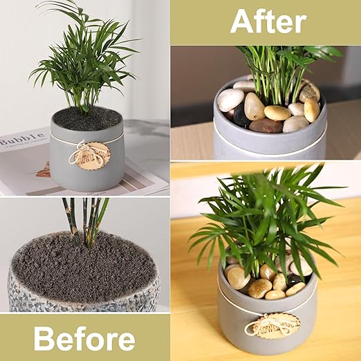 5LB Polished Natural Stone Pebbles for Outdoor Plants with Mixed Colors 1/4-5/8Inch Decorative River Rocks for Planters Small Natural Stone Gravels for Home Decoration